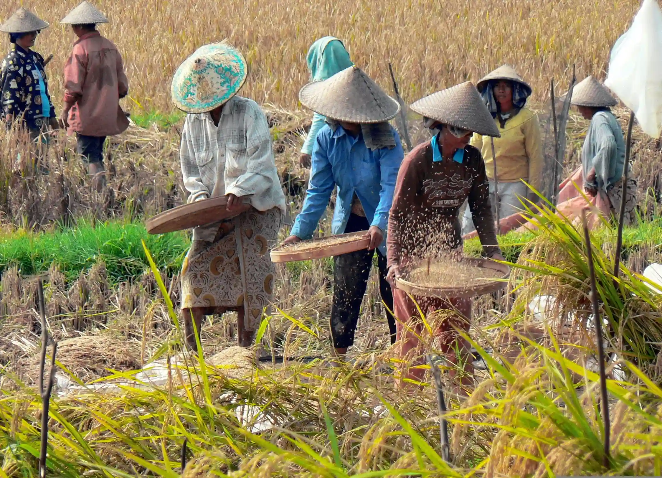 Saatnya Pengajuan Surat Desa Wanakerta Dipermudah Lewat Online